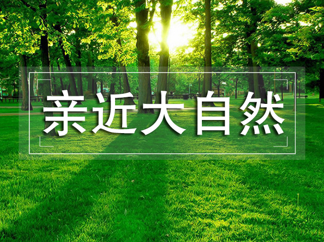 新闻资讯  /  公司新闻-高晶板_负离子生态硅晶板_医院集成吊顶_嵌入式隔帘轨道_医用隔帘_湖北星立方科技有限公司【官网】