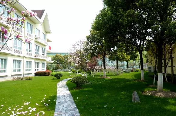 新闻资讯-高晶板_负离子生态硅晶板_医院集成吊顶_嵌入式隔帘轨道_医用隔帘_湖北星立方科技有限公司【官网】