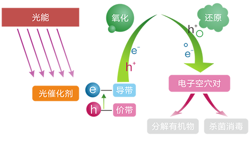 南宫NG·28(中国)相信品牌实力有限公司