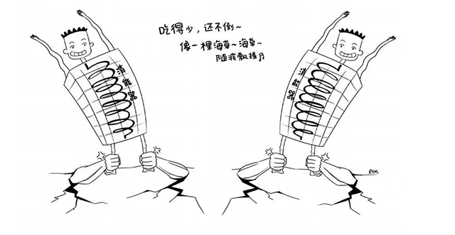 南宫NG·28(中国)相信品牌实力有限公司