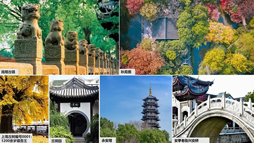 南宫NG·28(中国)相信品牌实力有限公司